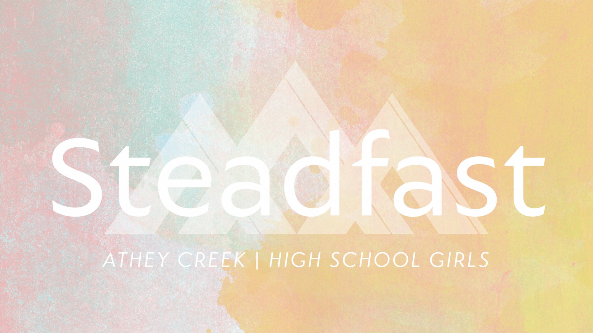 Poster for Steadfast