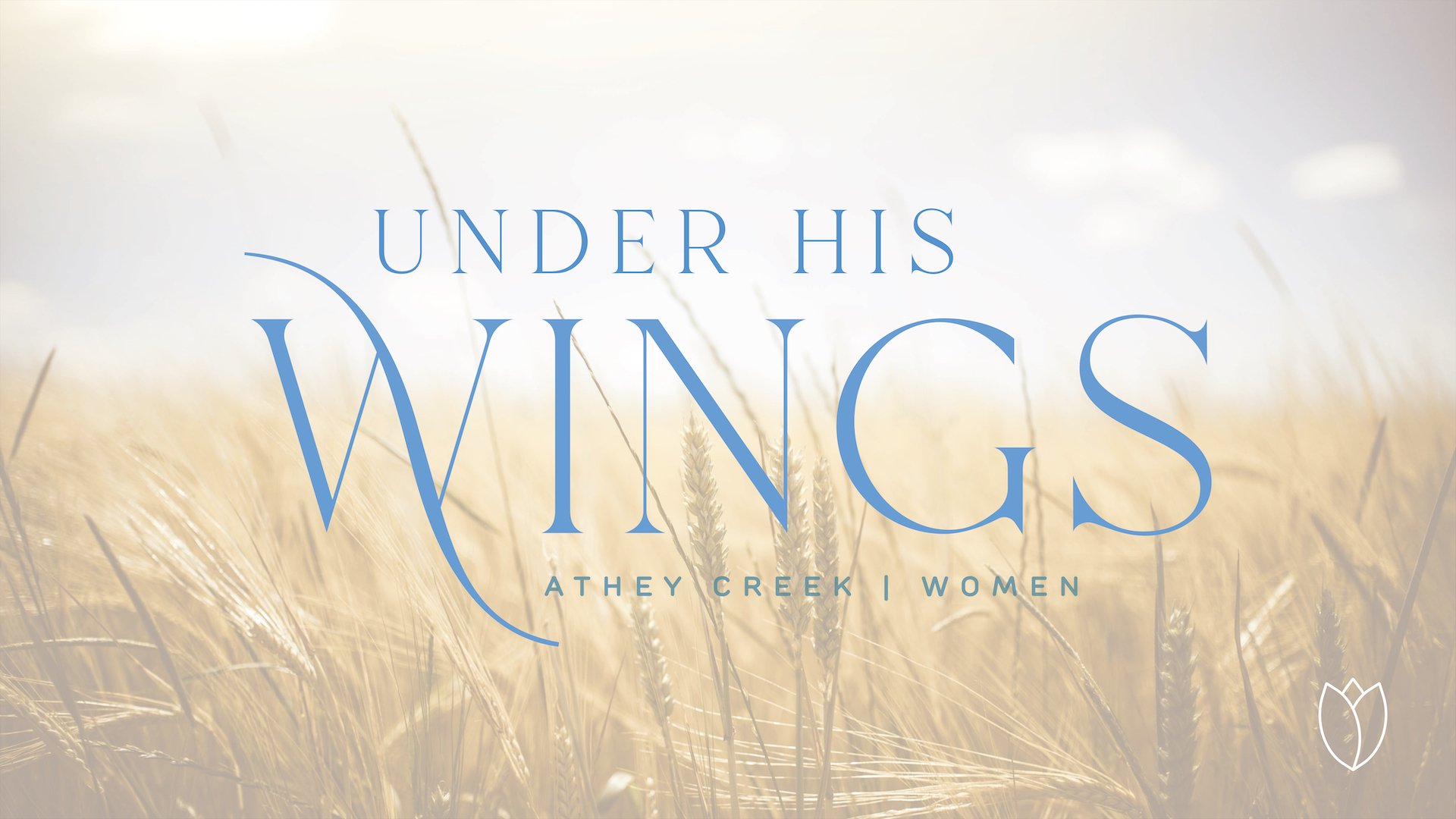 Teaching artwork for Under His Wings