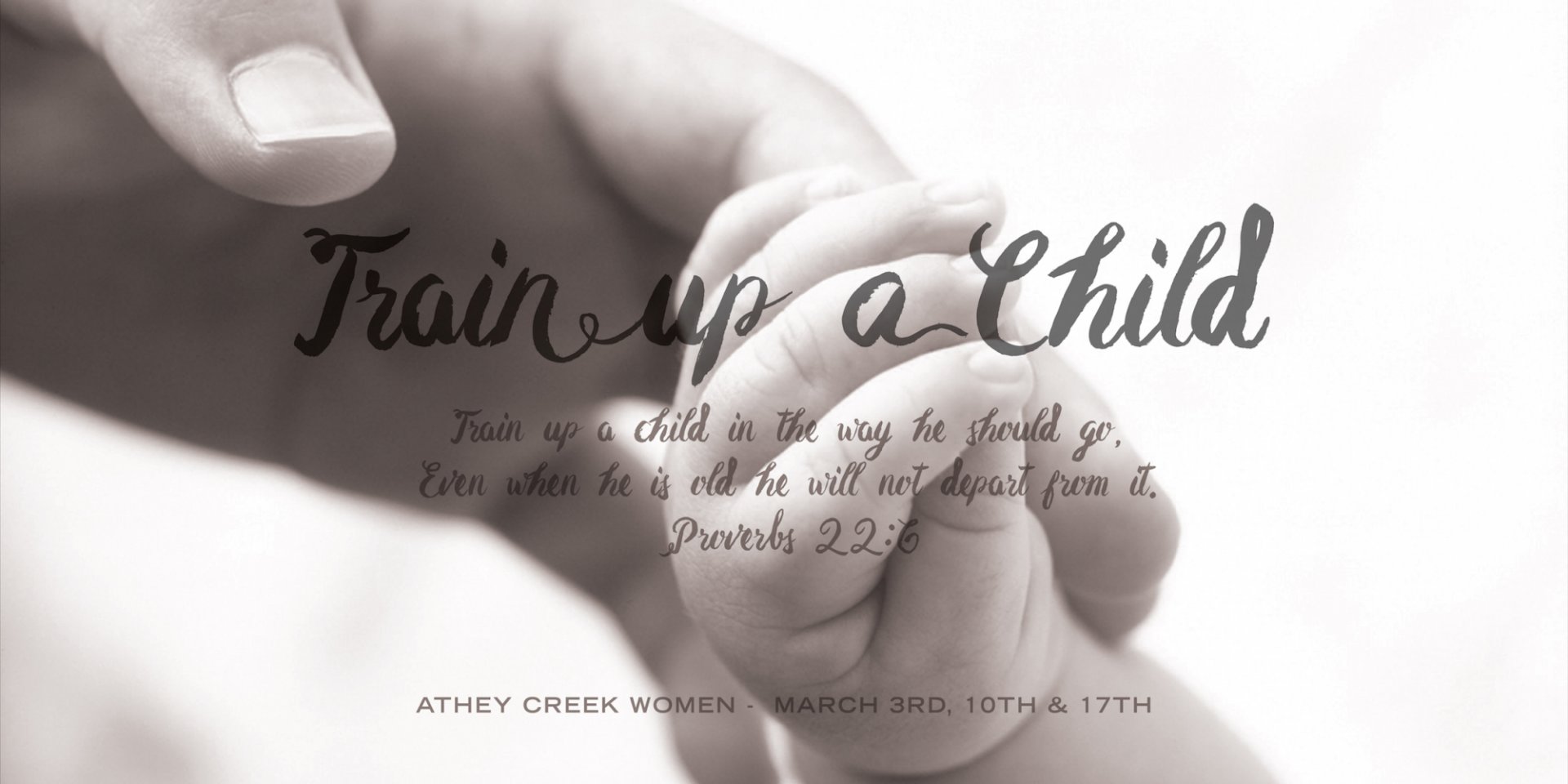 Poster forTrain Up A Child | Sowing and Reaping...Mothering with Purpose