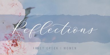 Teaching artwork for Reflections | Susan Curtis