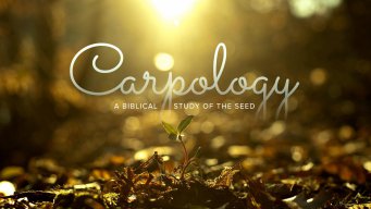 Teaching artwork for Carpology 401 - Part 2B