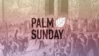 Teaching artwork for Palm Sunday 2014